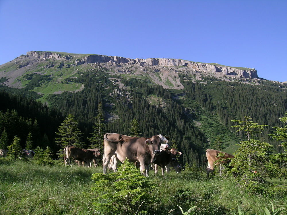 Haller'S Posthotel Riezlern Luaran gambar